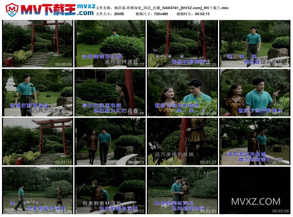 杨洪基-密林深处_国语_民歌_NAI03741